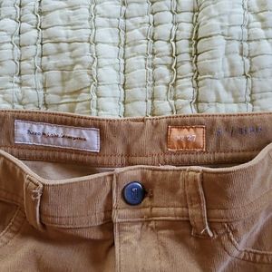 Anthropologie Pilcro size 27 serif fit pants